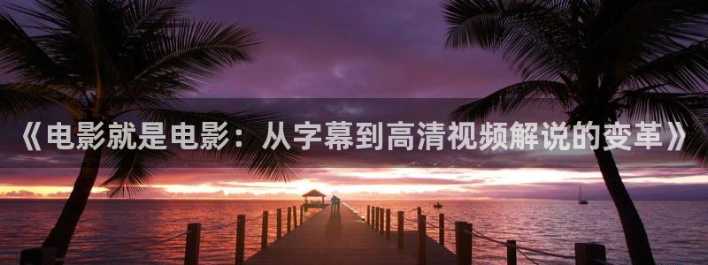 小优视频茄子视频：《电影就是电影：从字幕到高清视频解说的变革》