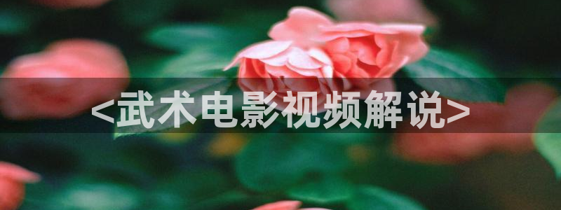 樱桃茄子视频