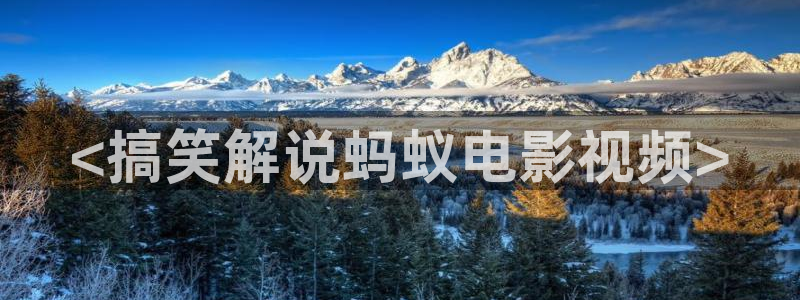 茄子视频了：<搞笑解说蚂蚁电影视频>